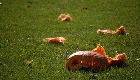 Pumpkin_Launch_IIT