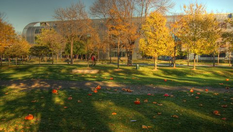 Pumpkin_Launch_IIT