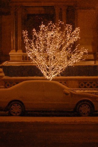 Neige-Chicago