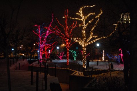 Zoo-illuminations