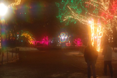 Zoo-illuminations