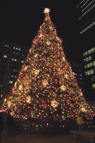 Sapin-Chicago