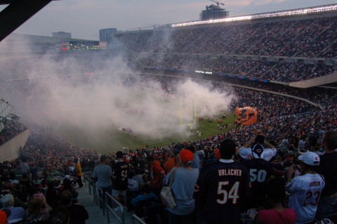 Bears-Football-américain-Photo