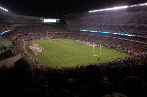 Bears-Football-américain-Photo