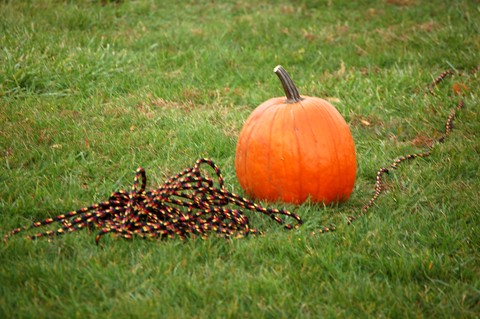 Pumpkin-Launch-IIT-Photo