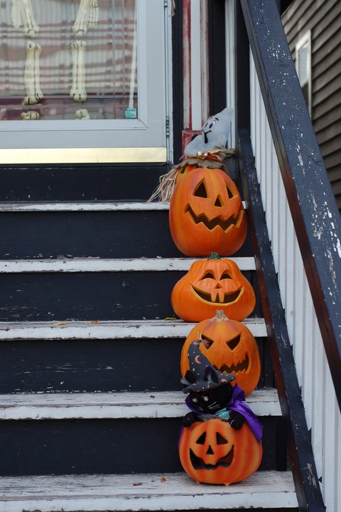 Citrouilles-Halloween-Photo